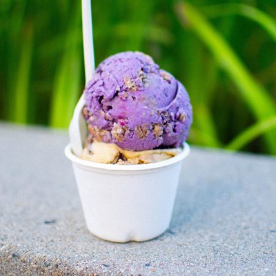 Blueberry cobbler and coffee woffee ice cream